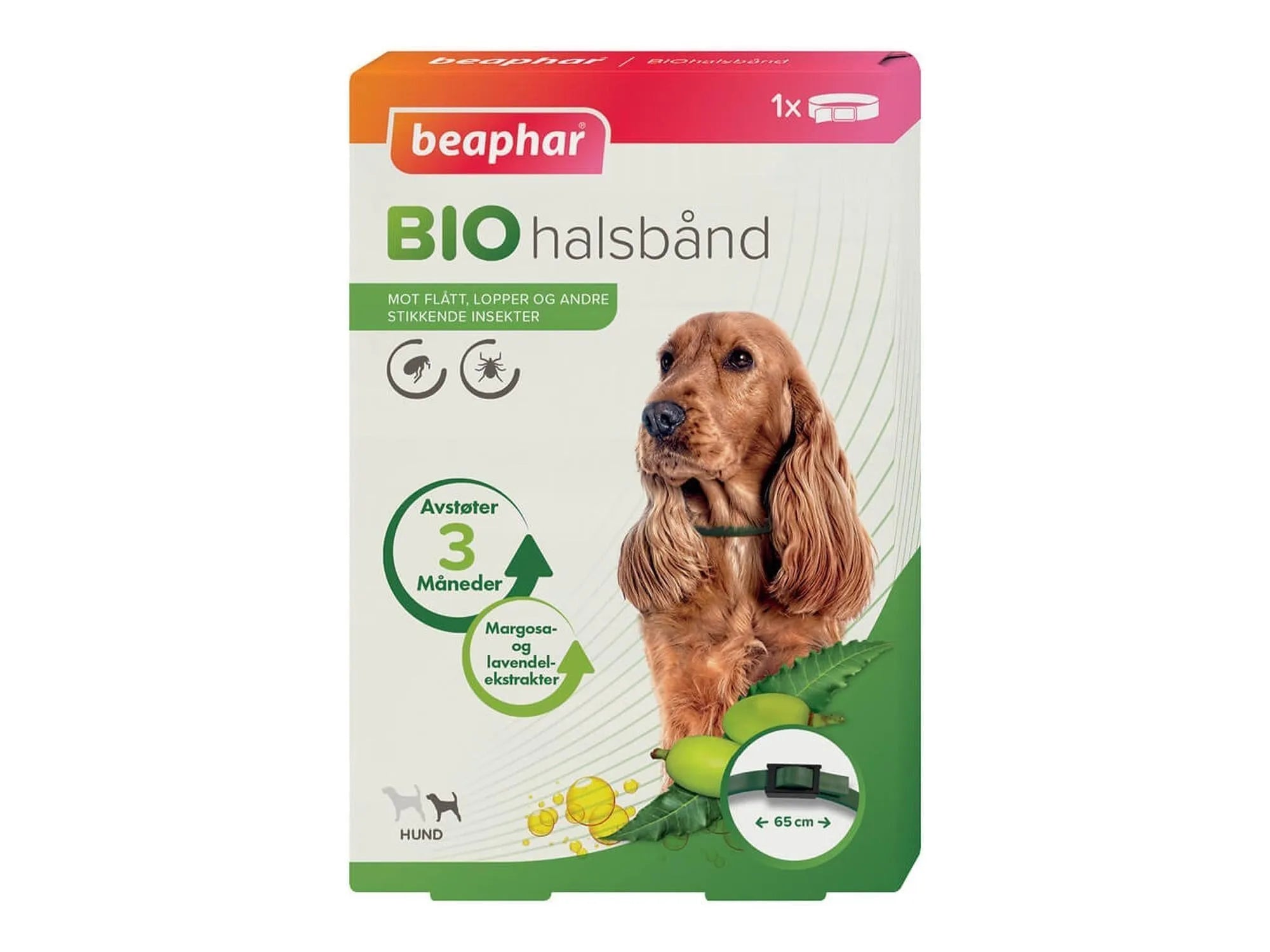 Beaphar Bio Halsbånd 65 cm, et grønt, naturlig insektavvisende halsbånd på en brun cocker spaniel.