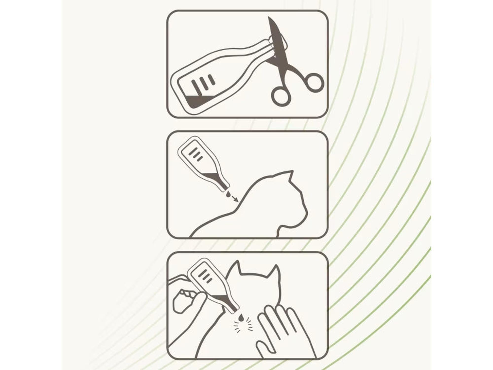 Illustrasjon av Beaphar Bio Spot-On til katt: klippe pipette, påføre på kattens nakke, og gni inn.