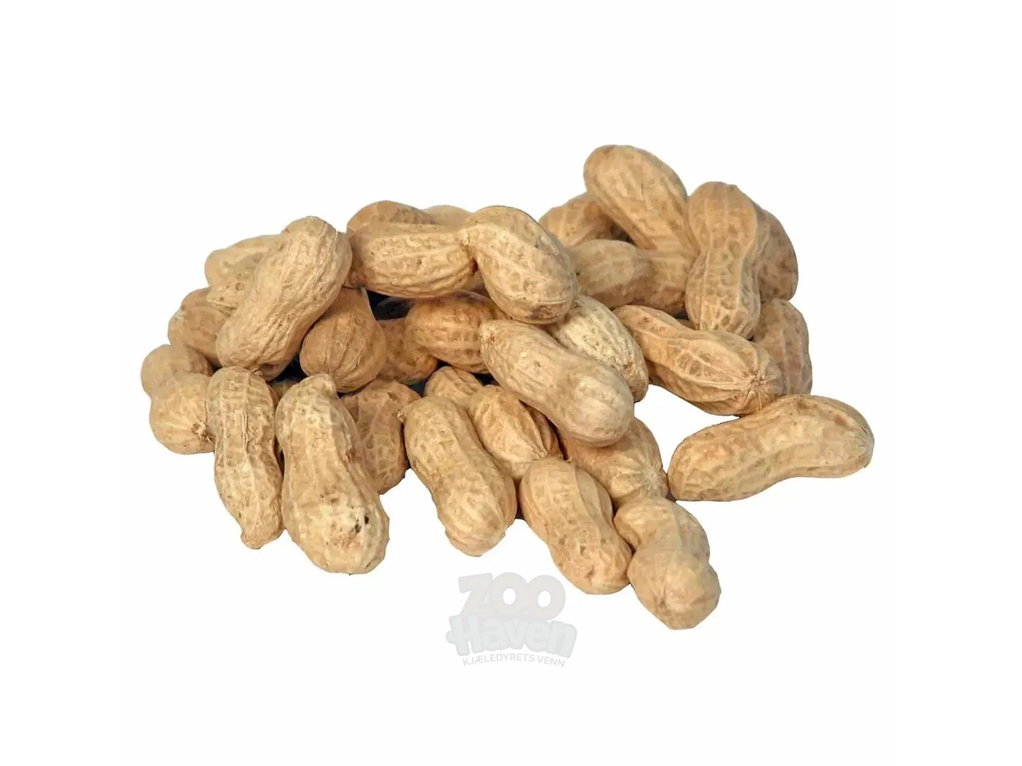 Bello Peanøtter med skall 200gr - 10kg