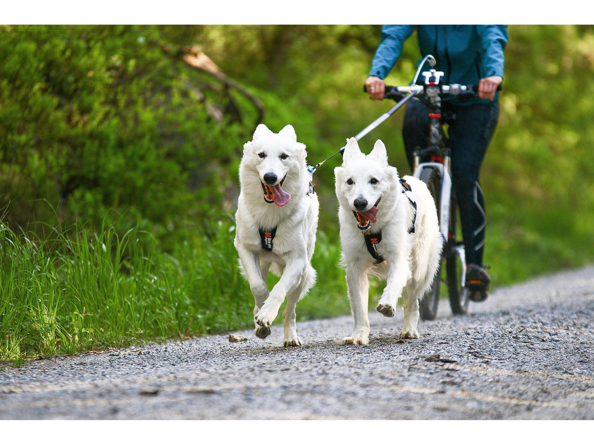 Non-stop dogwear Bike antenna KLICKfix (kun antenne) – Grå