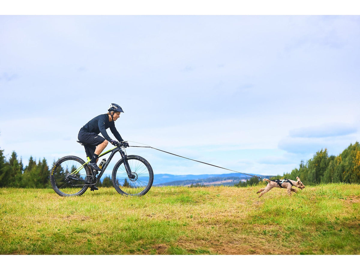 Non-stop dogwear Bike antenna sykkelantenne – Grå