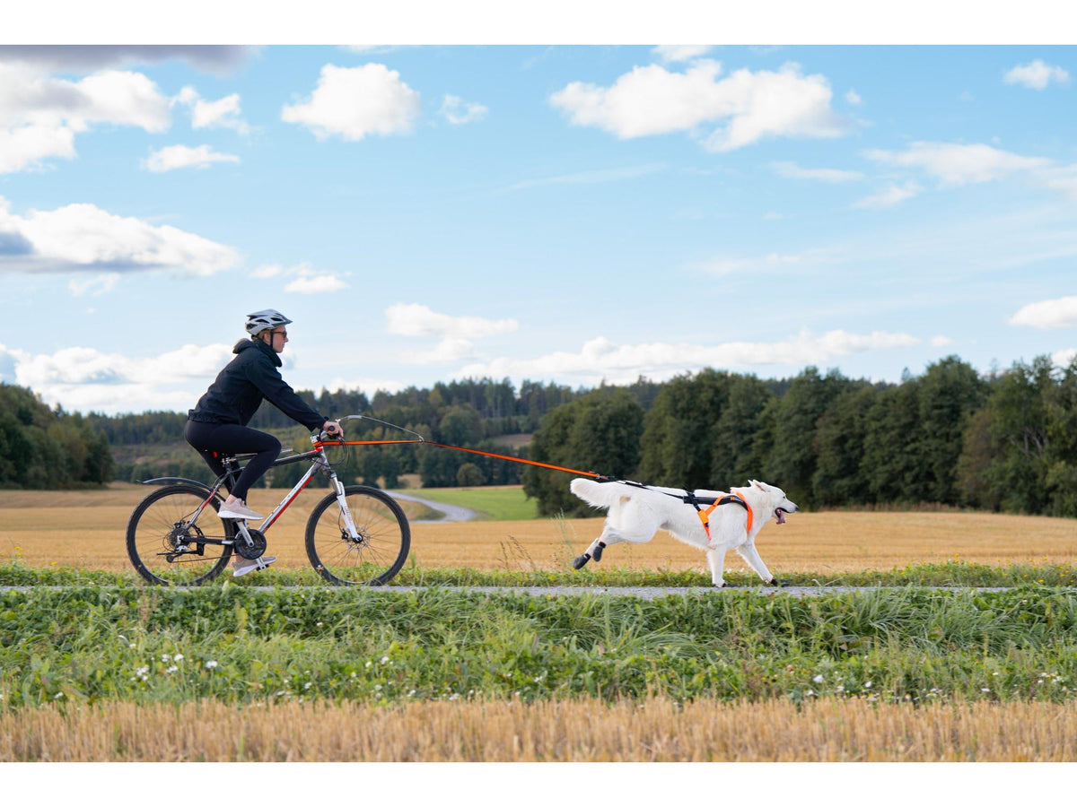 Non-stop dogwear Bike antenna sykkelantenne – Grå