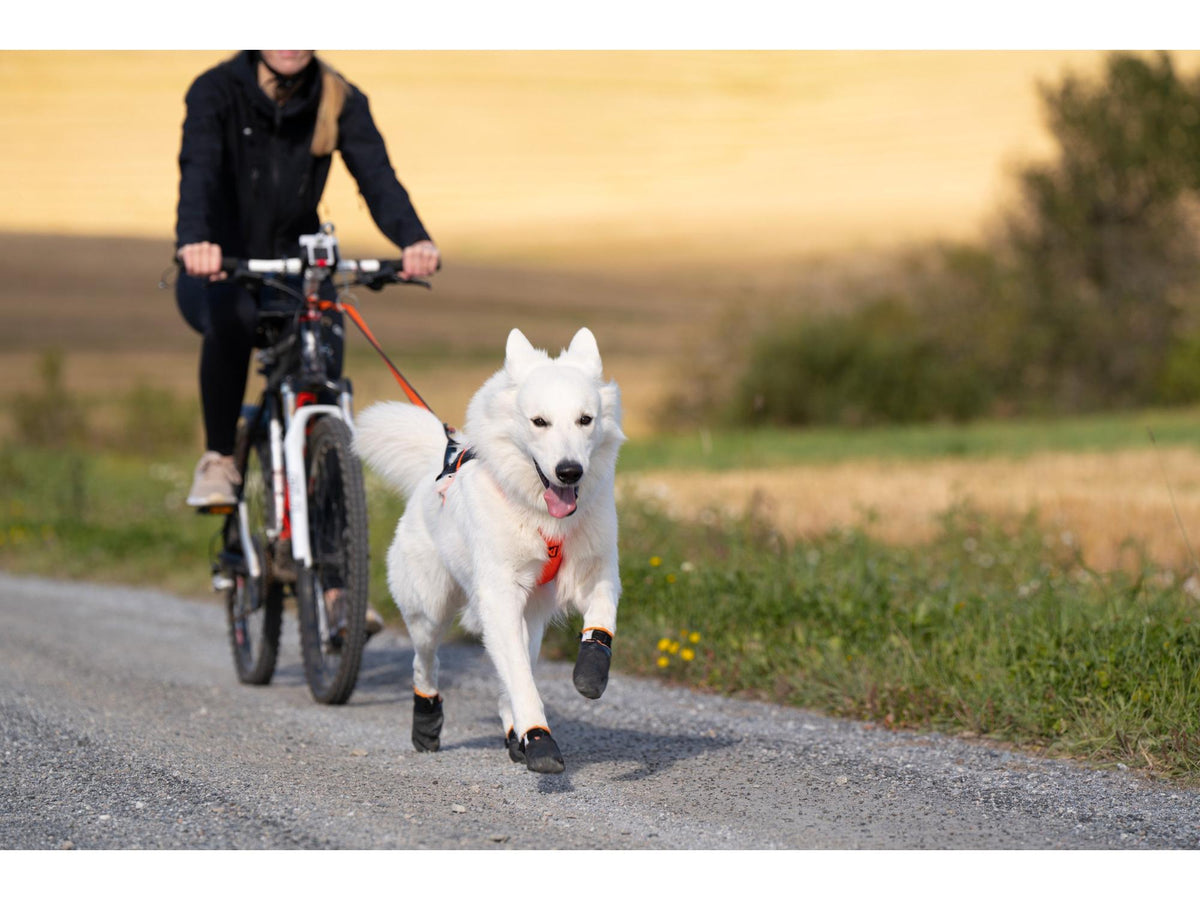Non-stop dogwear Bike antenna sykkelantenne – Grå