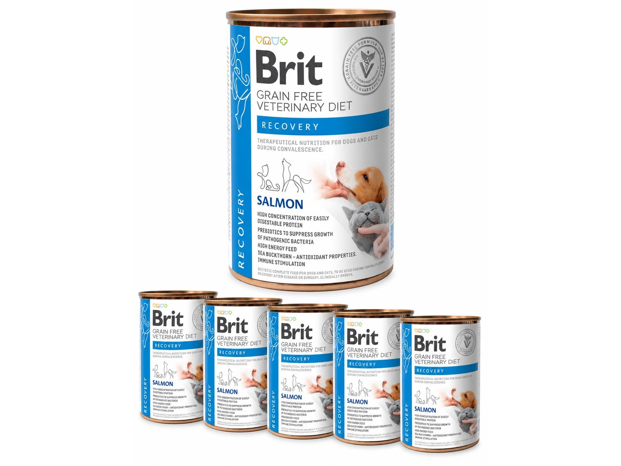 Brit Veterinary Diets Recovery 6-pakk – våtfôr til hund og katt under rekonvalesens
