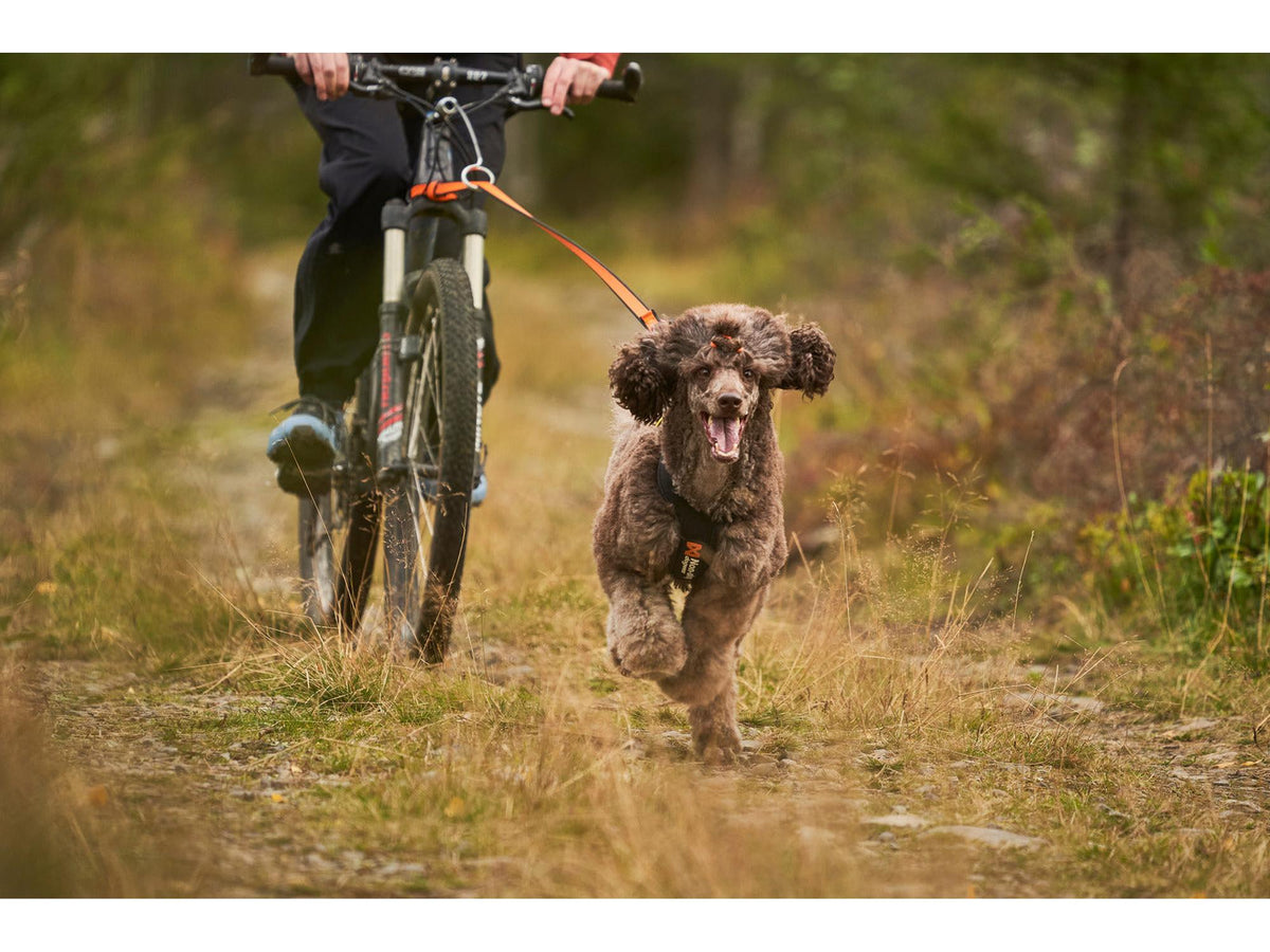 Non-stop dogwear Bungee leash kjørestrikk – Svart/oransje