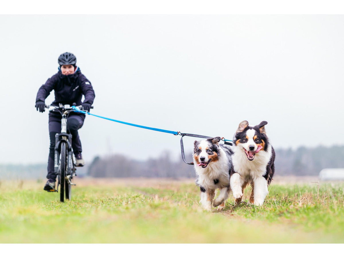 Non-stop dogwear Bungee leash kjørestrikk – Svart/oransje – modellen vist i annen farge