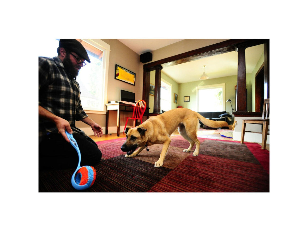 Chuckit! Indoor roller 12cm