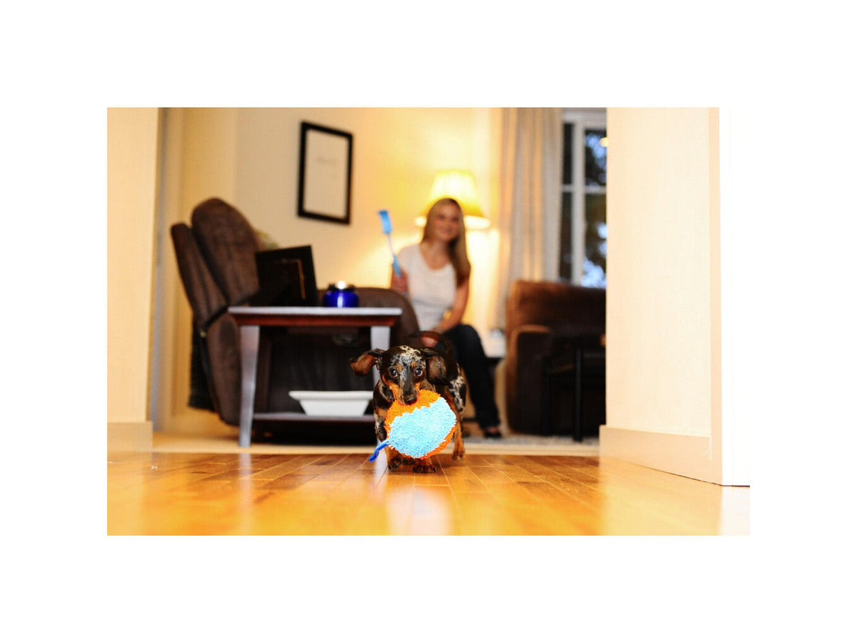 Chuckit! Indoor Shaker