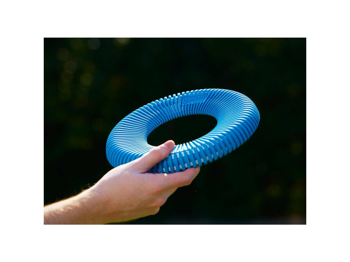 Chuckit! Rugged Flyer Medium 24cm
