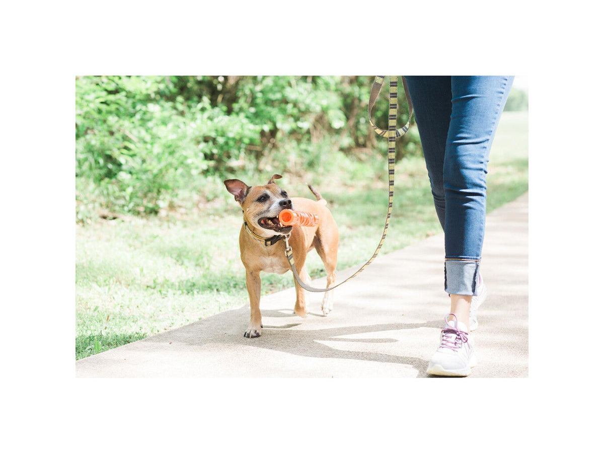 Chuckit! Air Fetch Stick