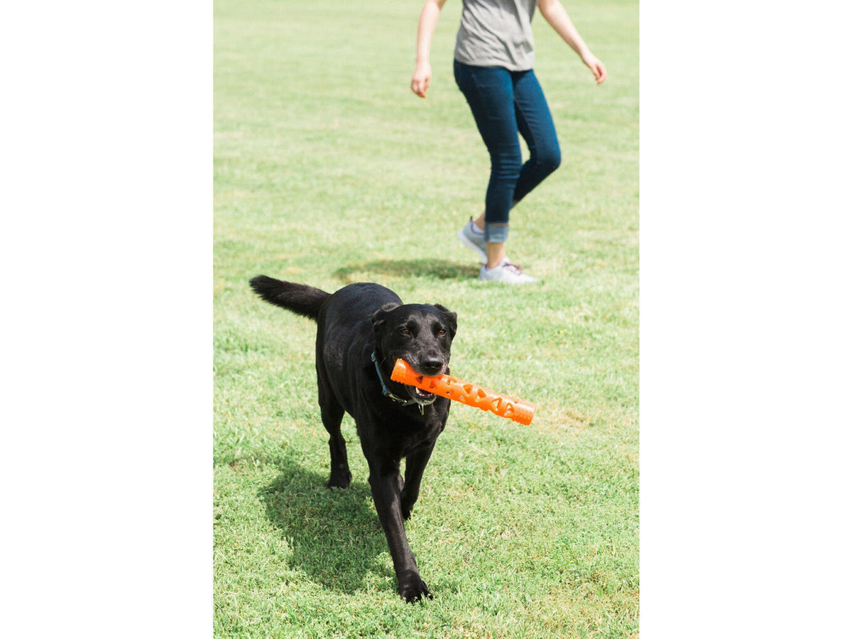 Chuckit! Air Fetch Stick