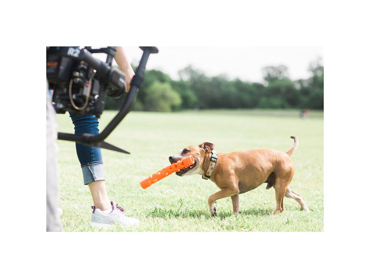 Chuckit! Air Fetch Stick