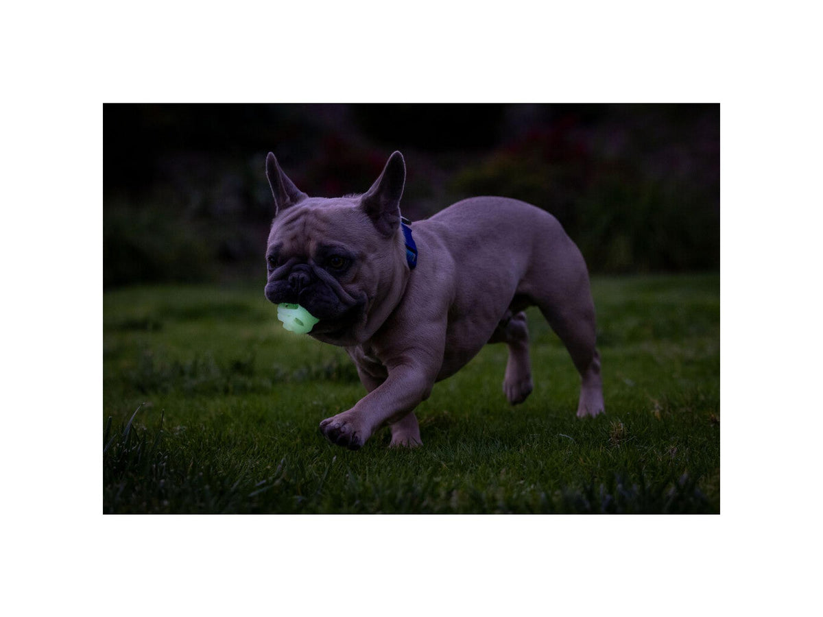 Chuckit! Max Glow Air Fetch Ball
