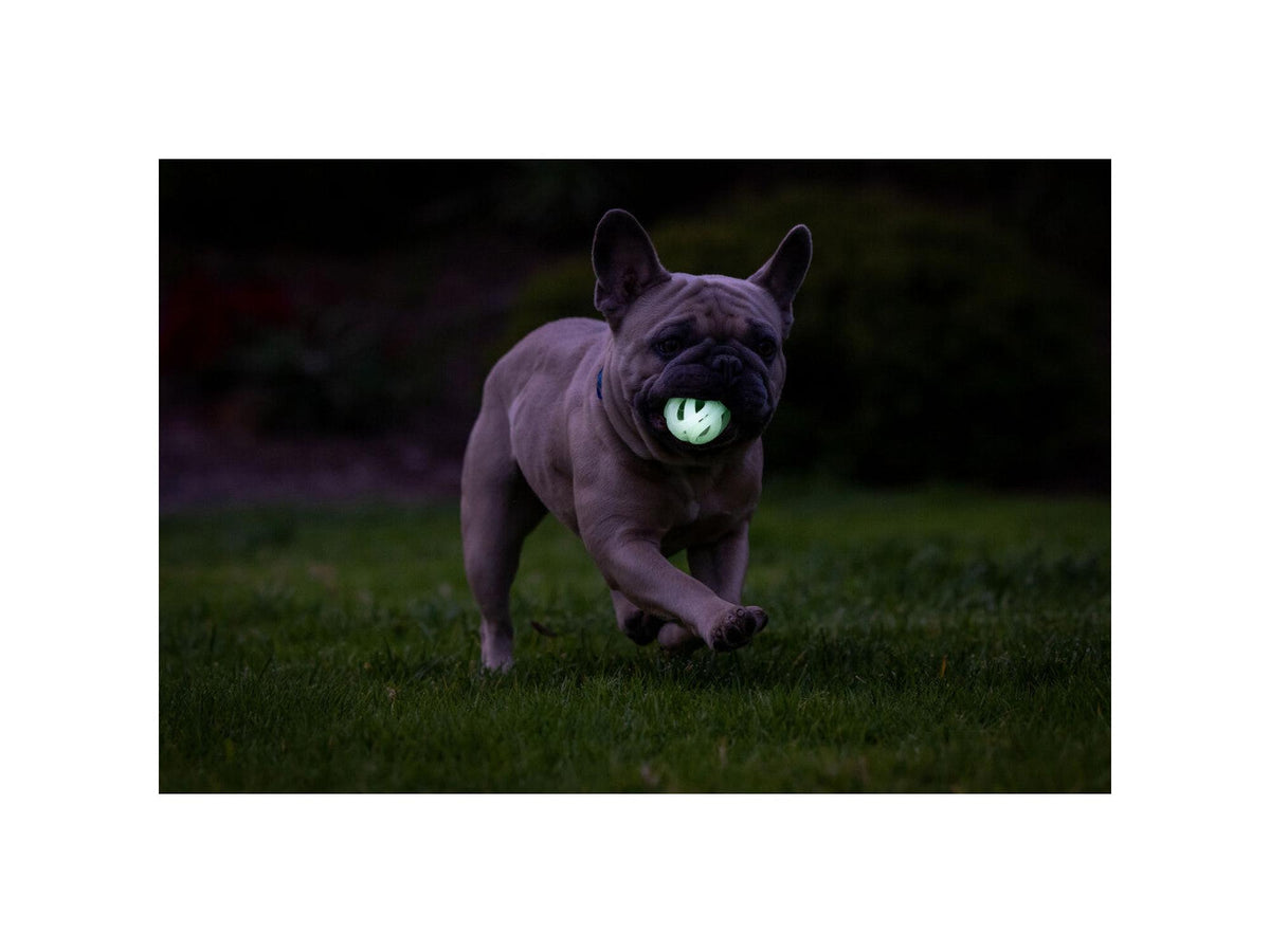 Chuckit! Max Glow Air Fetch Ball