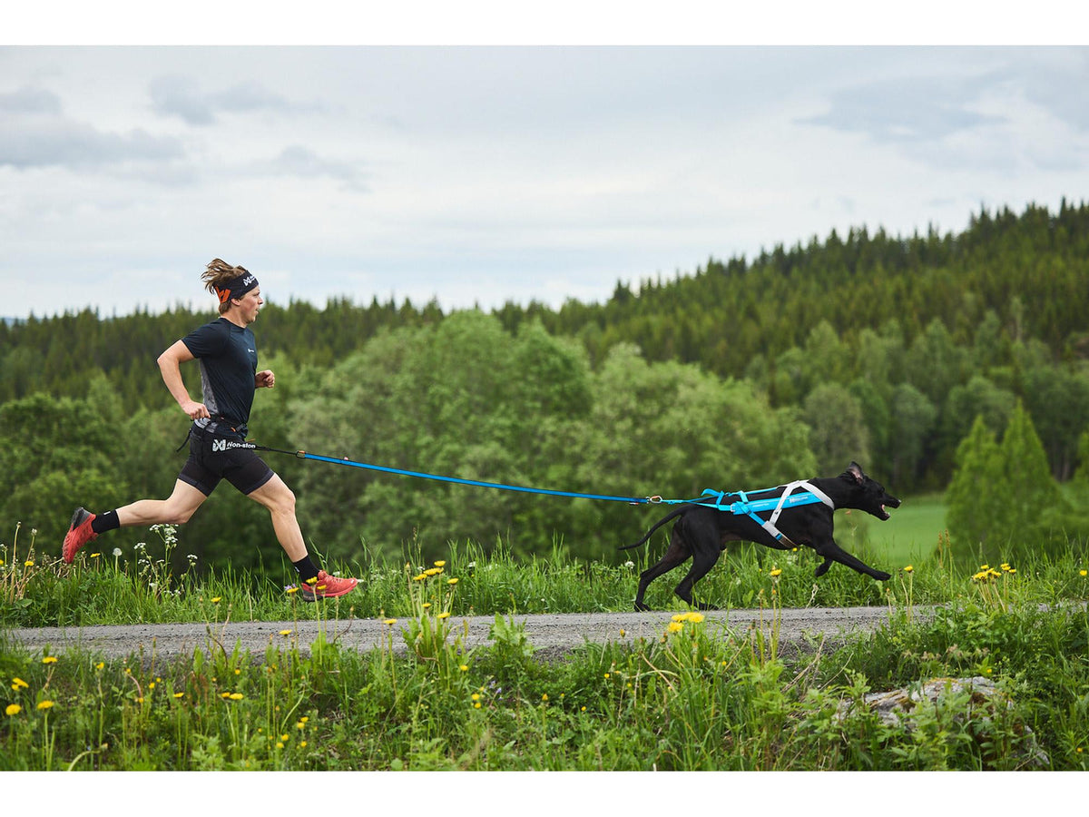 Non-stop dogwear CaniX belt pro løpebelte – Svart