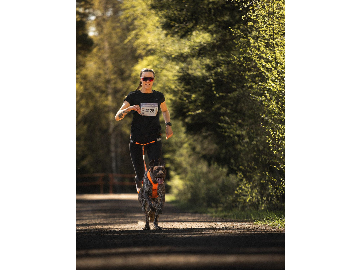 Non-stop dogwear CaniX belt pro løpebelte – Svart