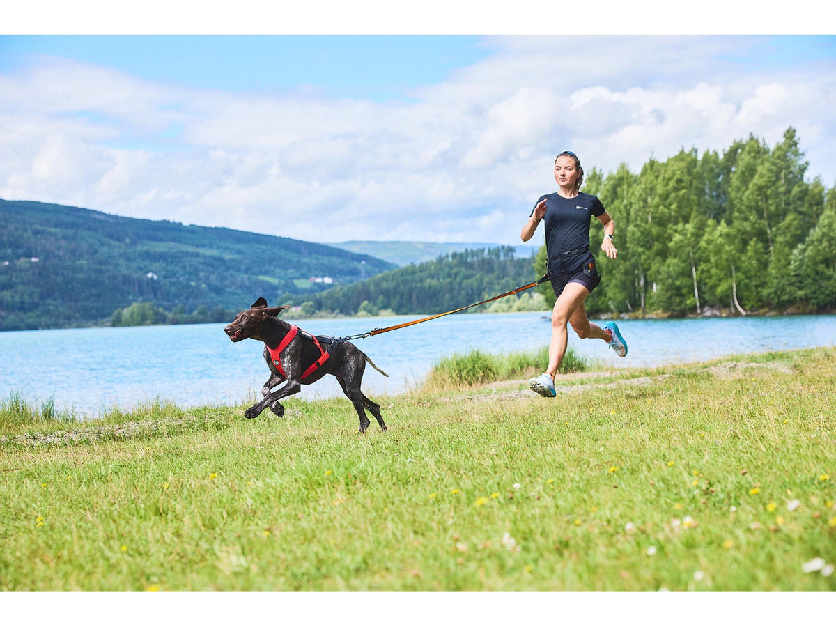 Non-stop dogwear CaniX belt løpebelte – Svart