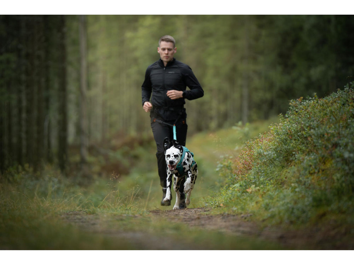 Non-stop dogwear CaniX belt 3.0 løpebelte – Svart