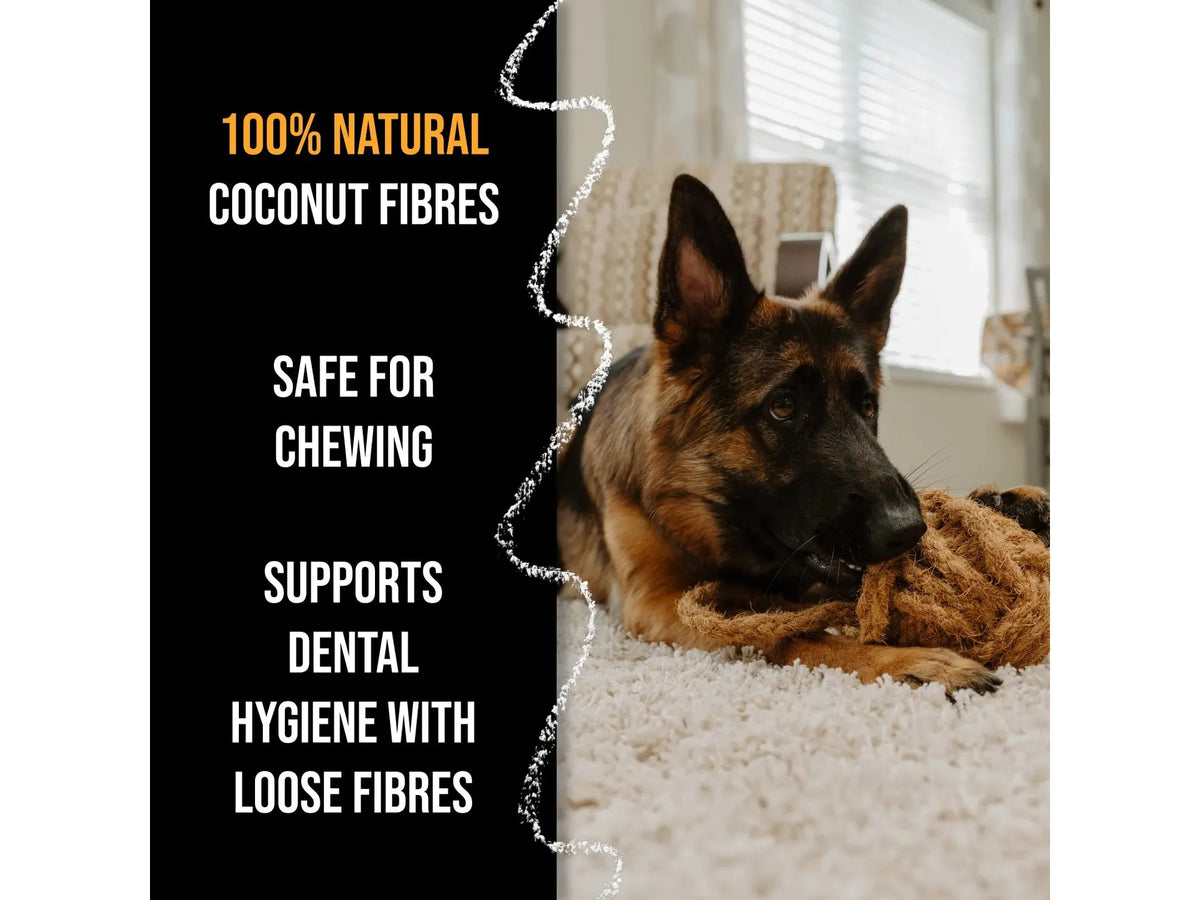 Canophera Cocobone – flettet kokostau-bein til hund – bilde 3
