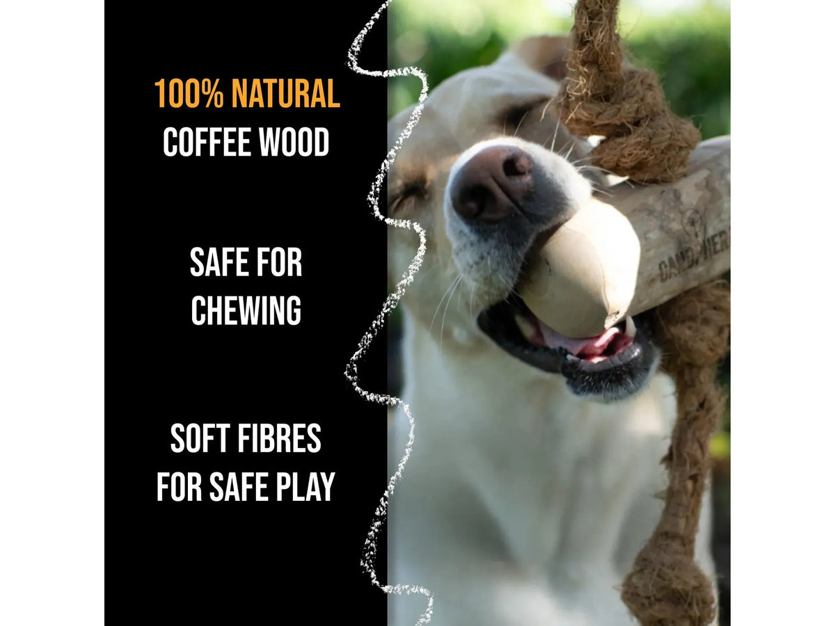 Canophera Cocotug – tyggeleke i kaffetre og kokostau til hund – bilde 3