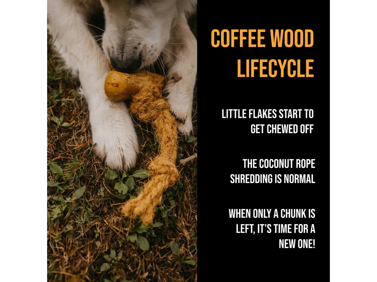 Canophera Cocotug – tyggeleke i kaffetre og kokostau til hund – bilde 7
