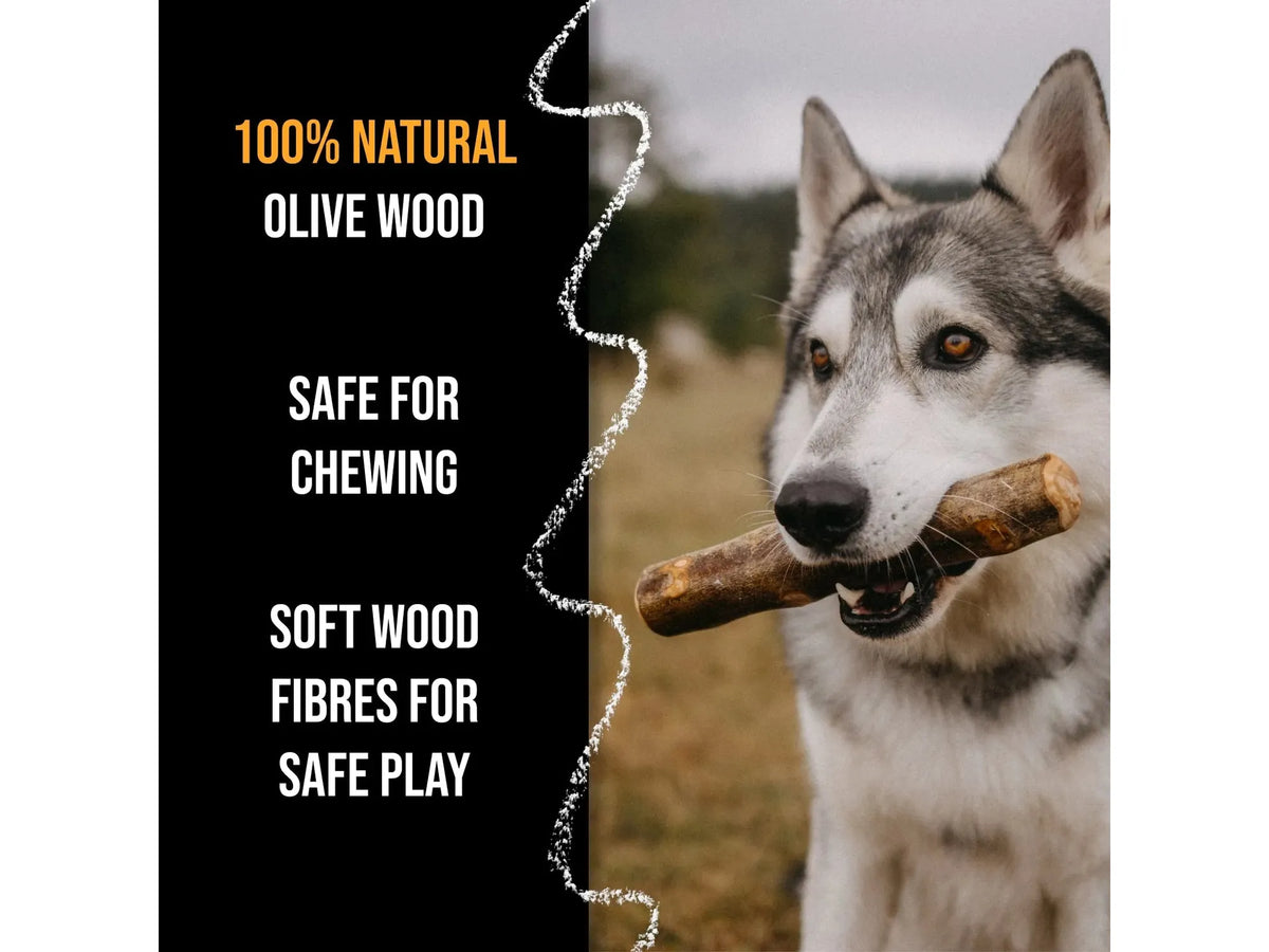 Canophera tyggepinne i oliventre til hund – bilde 3