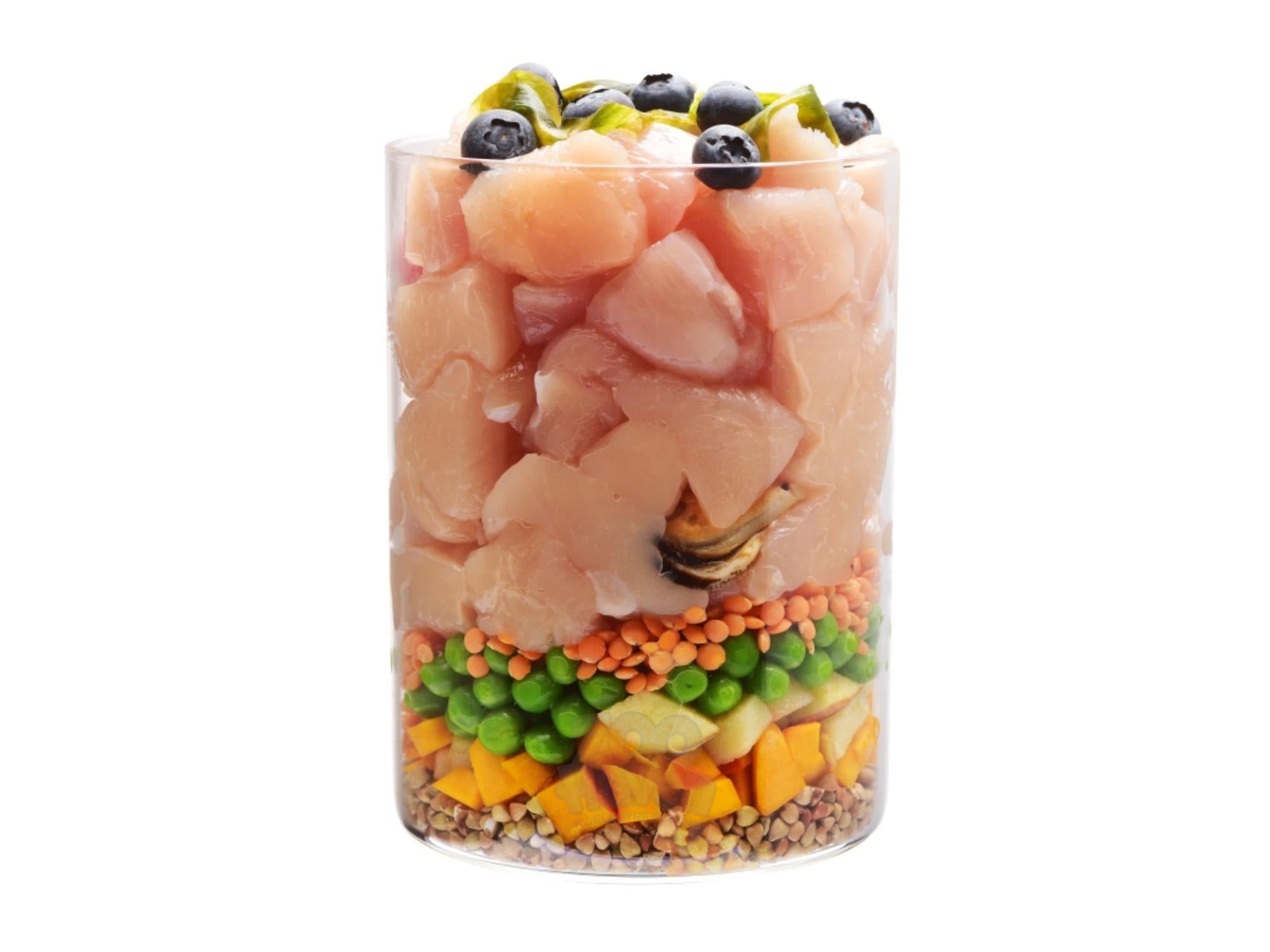 Carnilove True Fresh Chicken Junior Large Breed tørrfôr til valp av store raser av kylling