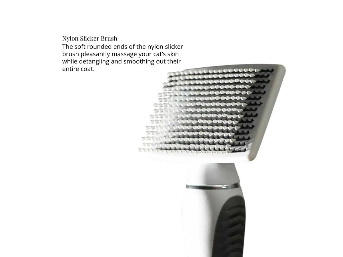 Nylon slicker brush for short-haired cats with white handle and soft, rounded bristles.