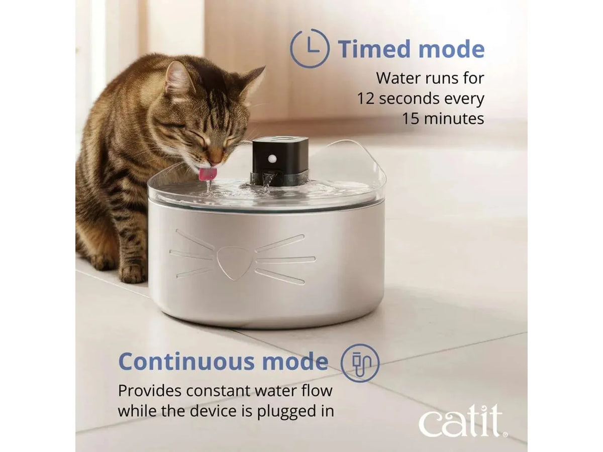 Katt drikker fra en Catit PIXI drikkefontene i rustfritt stål med katteformet design og UV-C renseteknologi.