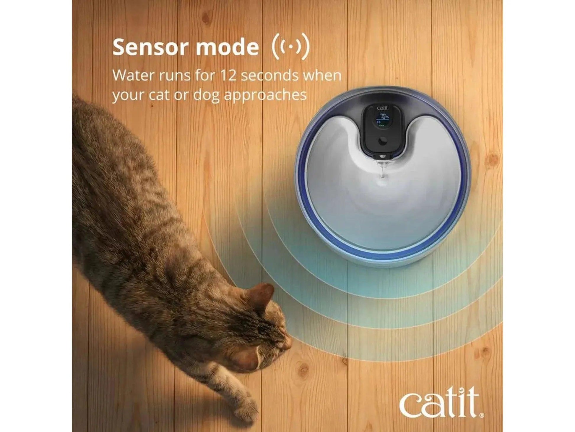 Catit PIXI drikkefontene i rustfritt stål med sensormodus og LCD-skjerm på et tregulv med en katt.