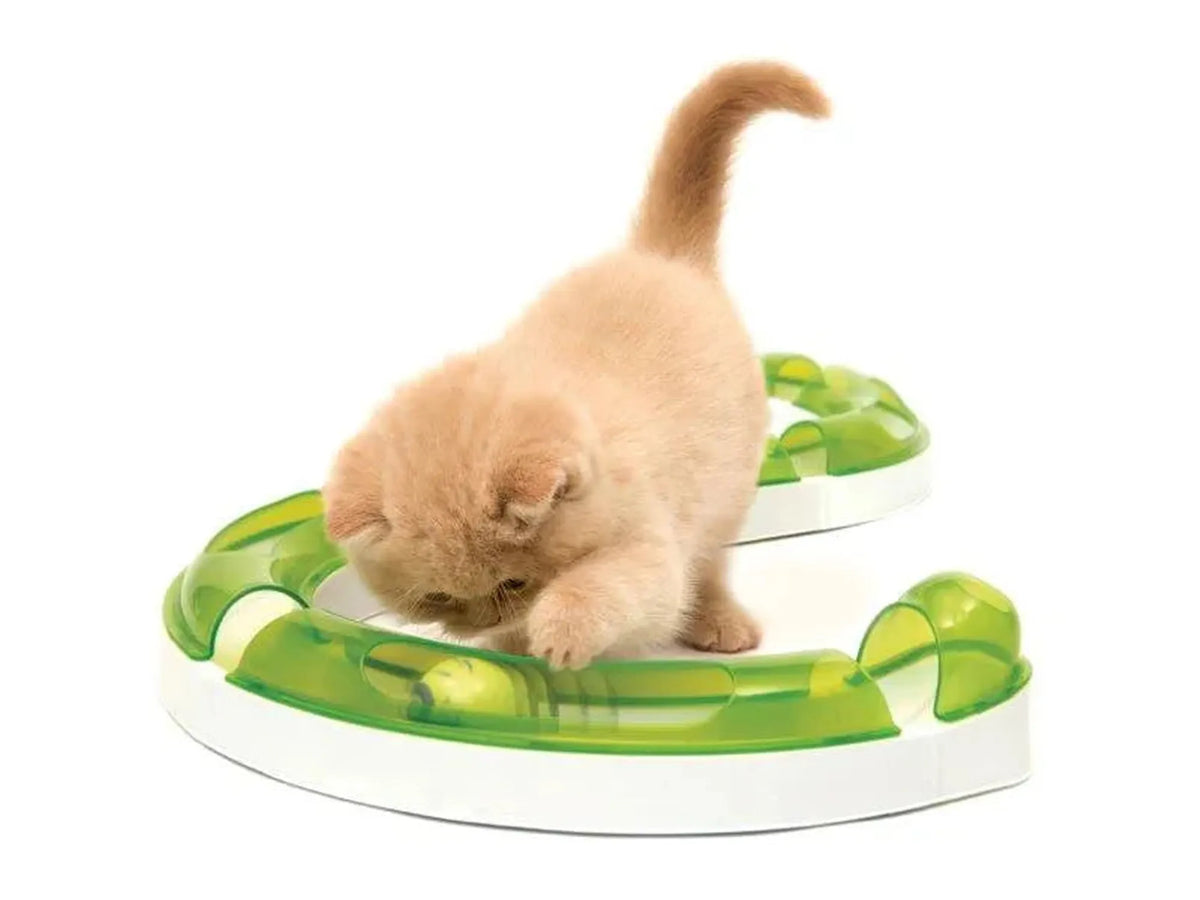 Katt leker med Catit Senses 2.0 Play Circuit