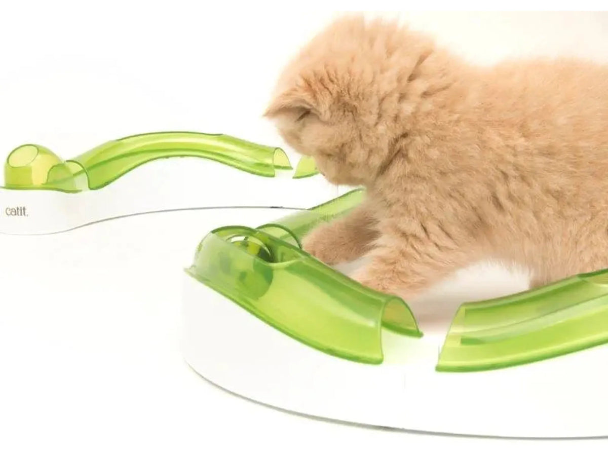 Katt leker med Catit Senses 2.0 Super Circuit