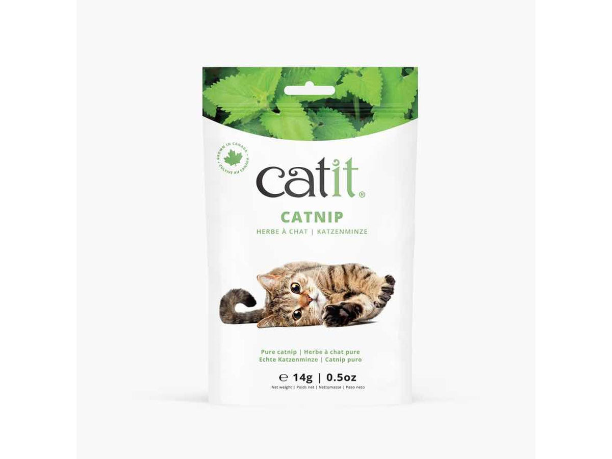 Catit kattemynte 14 g – pose med ren tørket kattemynte