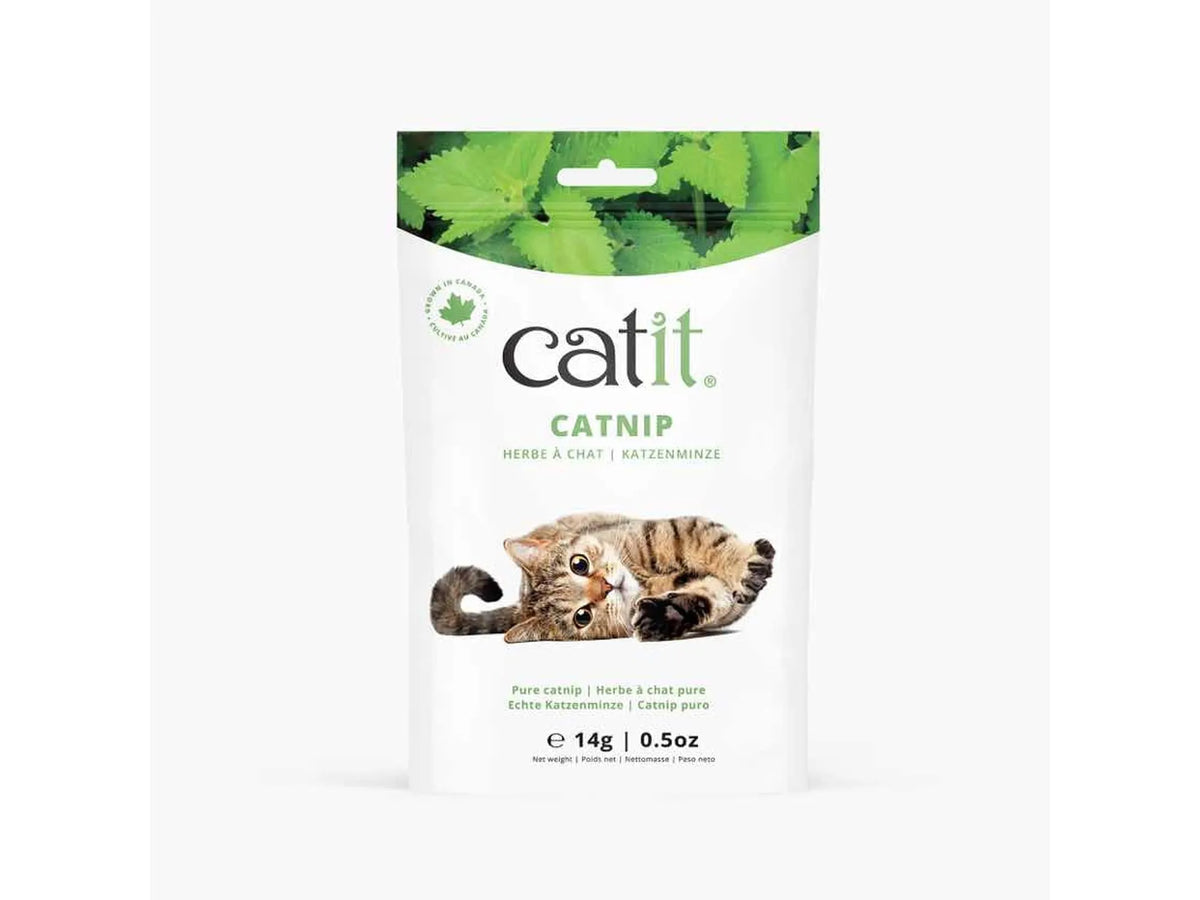 Catit kattemynte 14 g – pose med ren tørket kattemynte