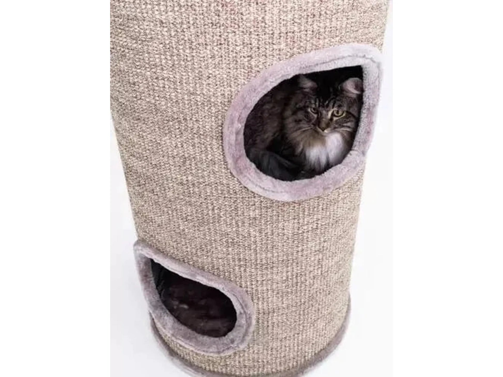 Høy, stabil kloretønne i sisal med to ovale innganger og en katt som titter ut.