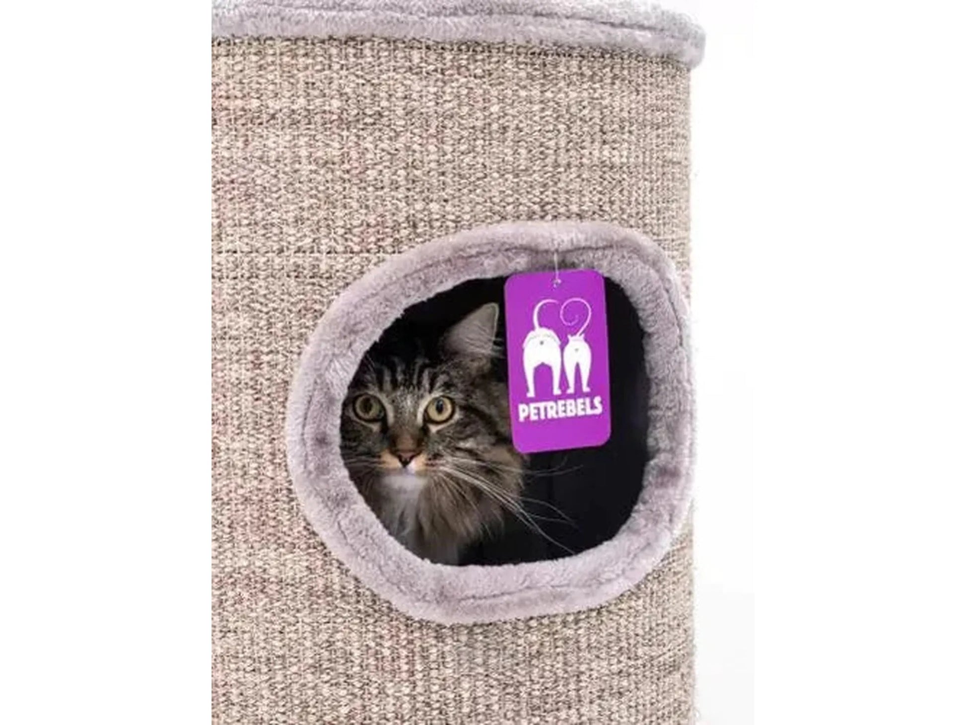 Katt som titter ut av en beige Petrebels Champions Only Dome 110 kloretønne med sisalteppe.
