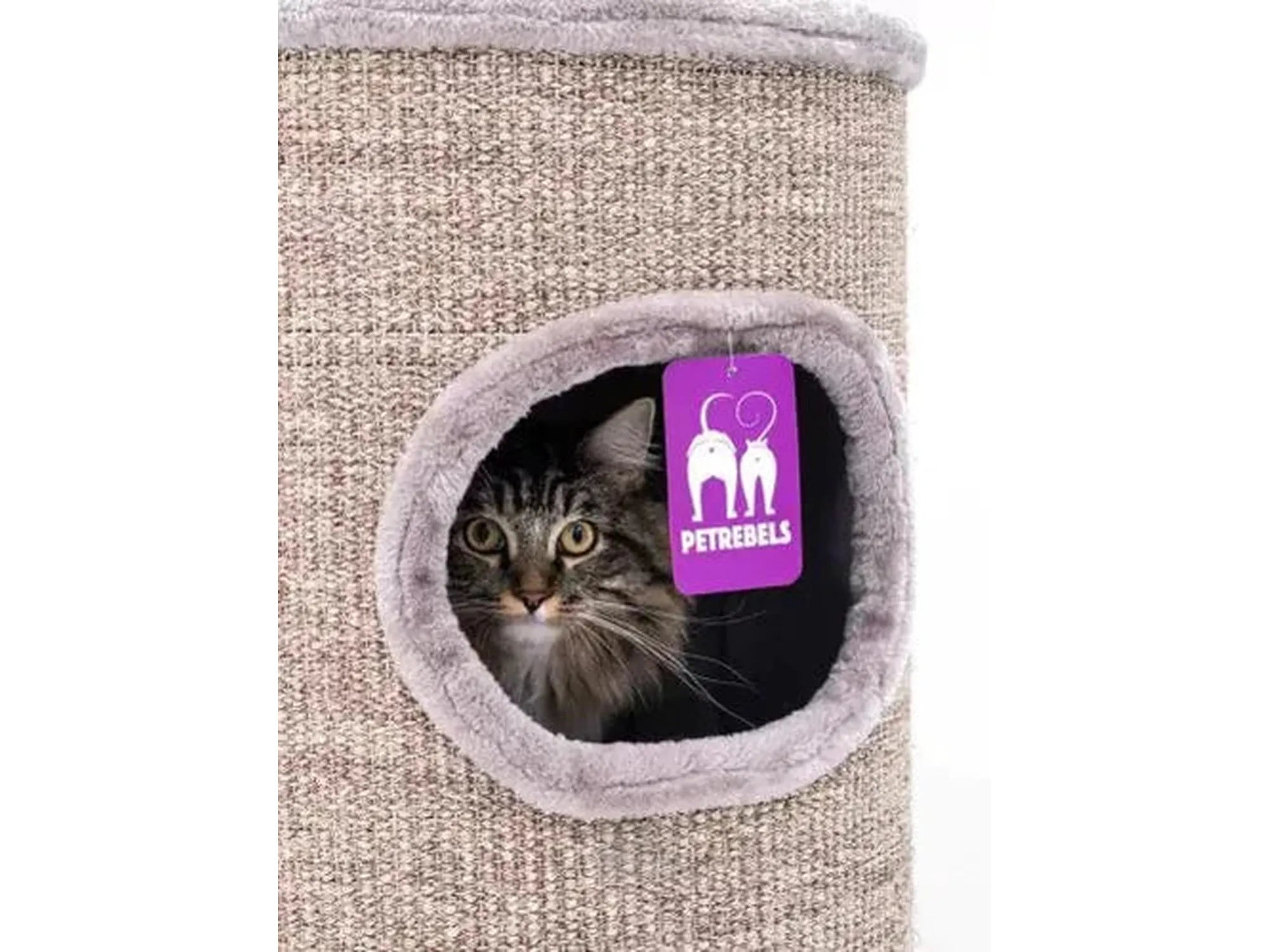Katt som titter ut av en beige Petrebels Champions Only Dome 110 kloretønne med sisalteppe.