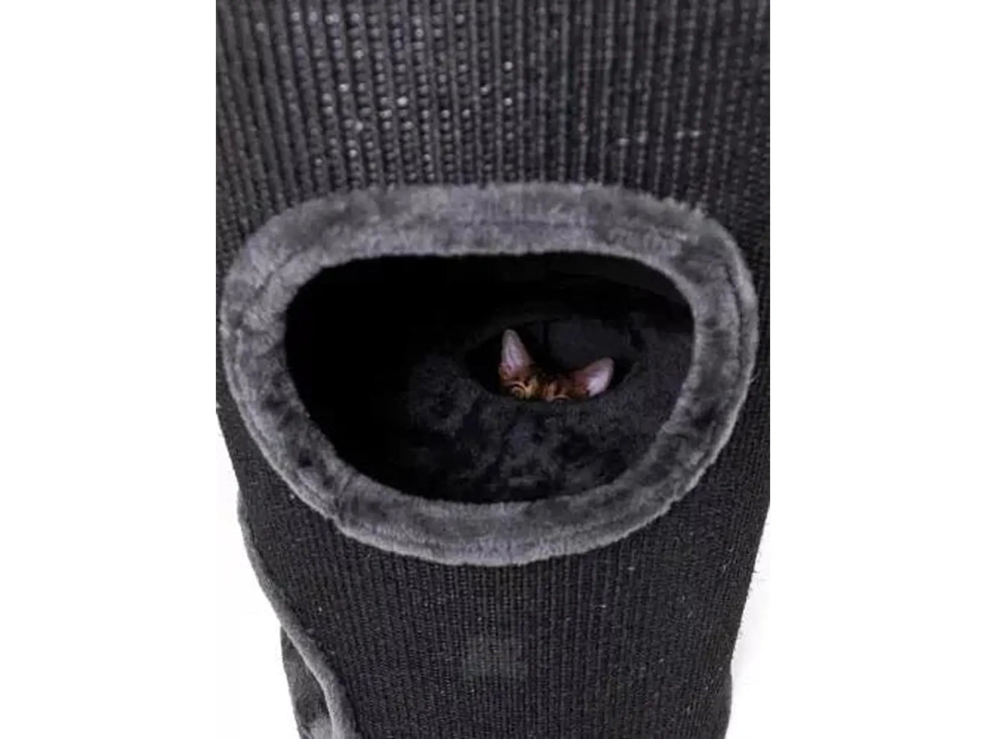 Pepperfarget Petrebels Champions Only Dome 110 kloretønne med en katt som titter ut av en inngang.