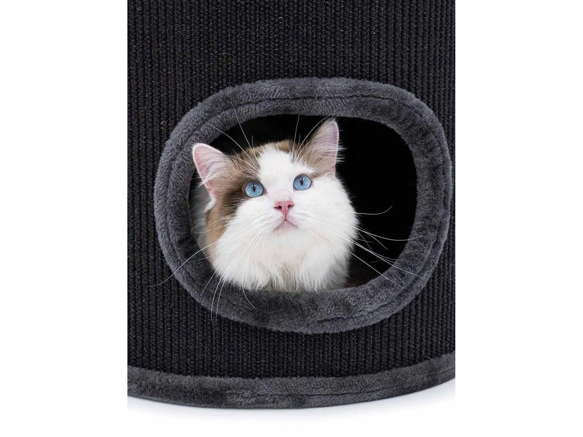 Petrebels Dome 80 med katt