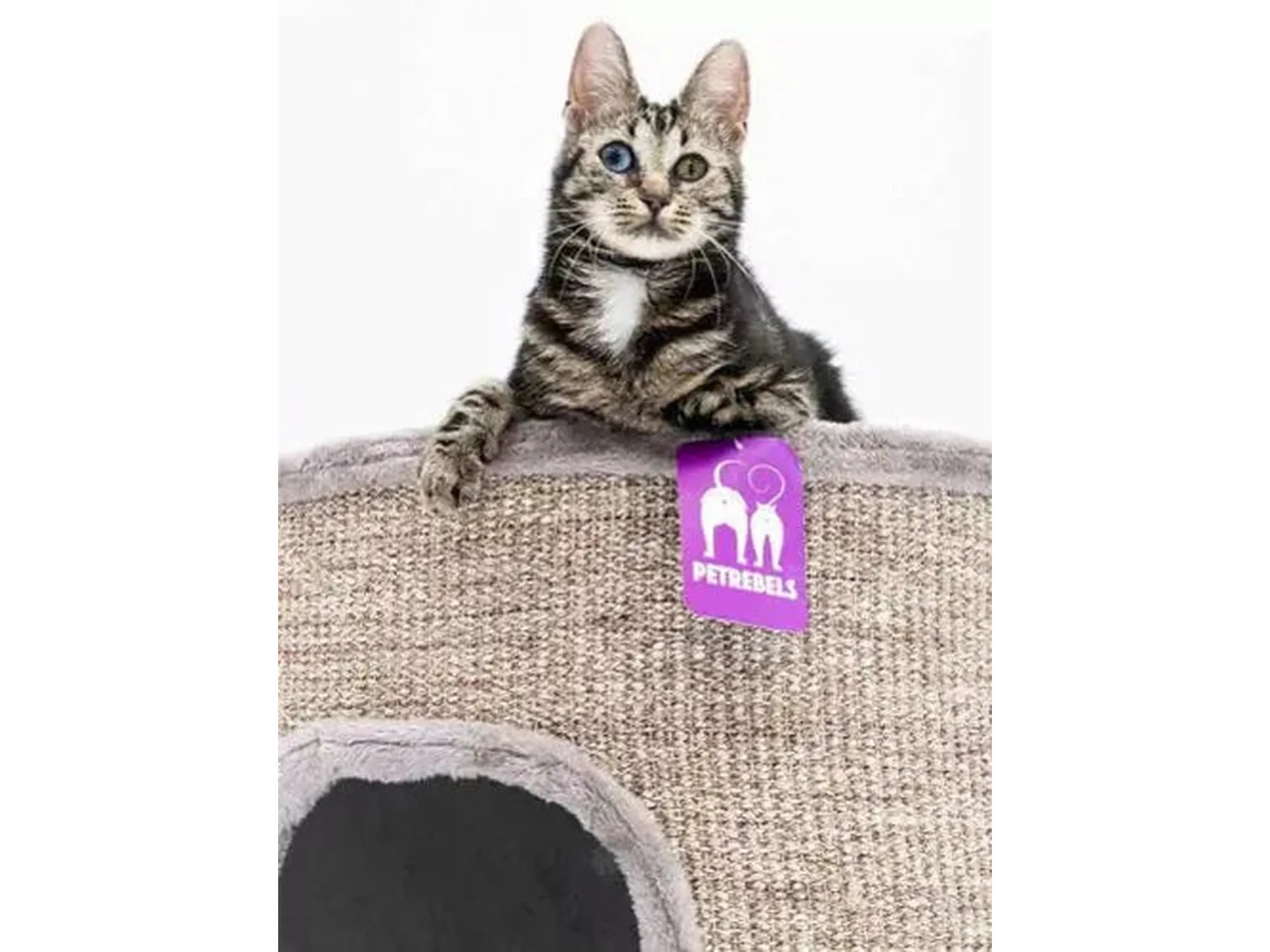 Katt på toppen av en Champions Only Dome 80 kloretønne i pepperfarget sisal med grå kant.
