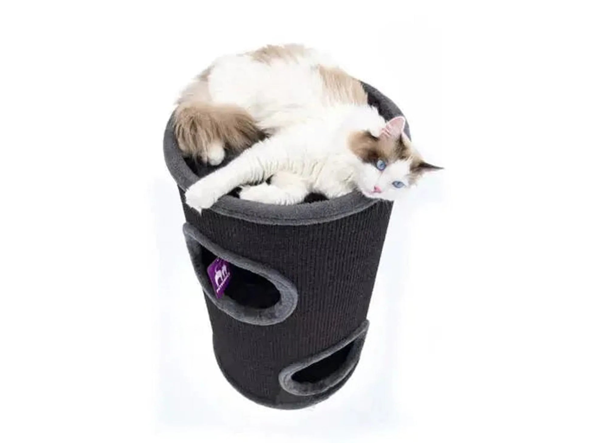 Ragdoll-katt hviler på toppen av en mørkegrå sisal kloretønne med to innganger.