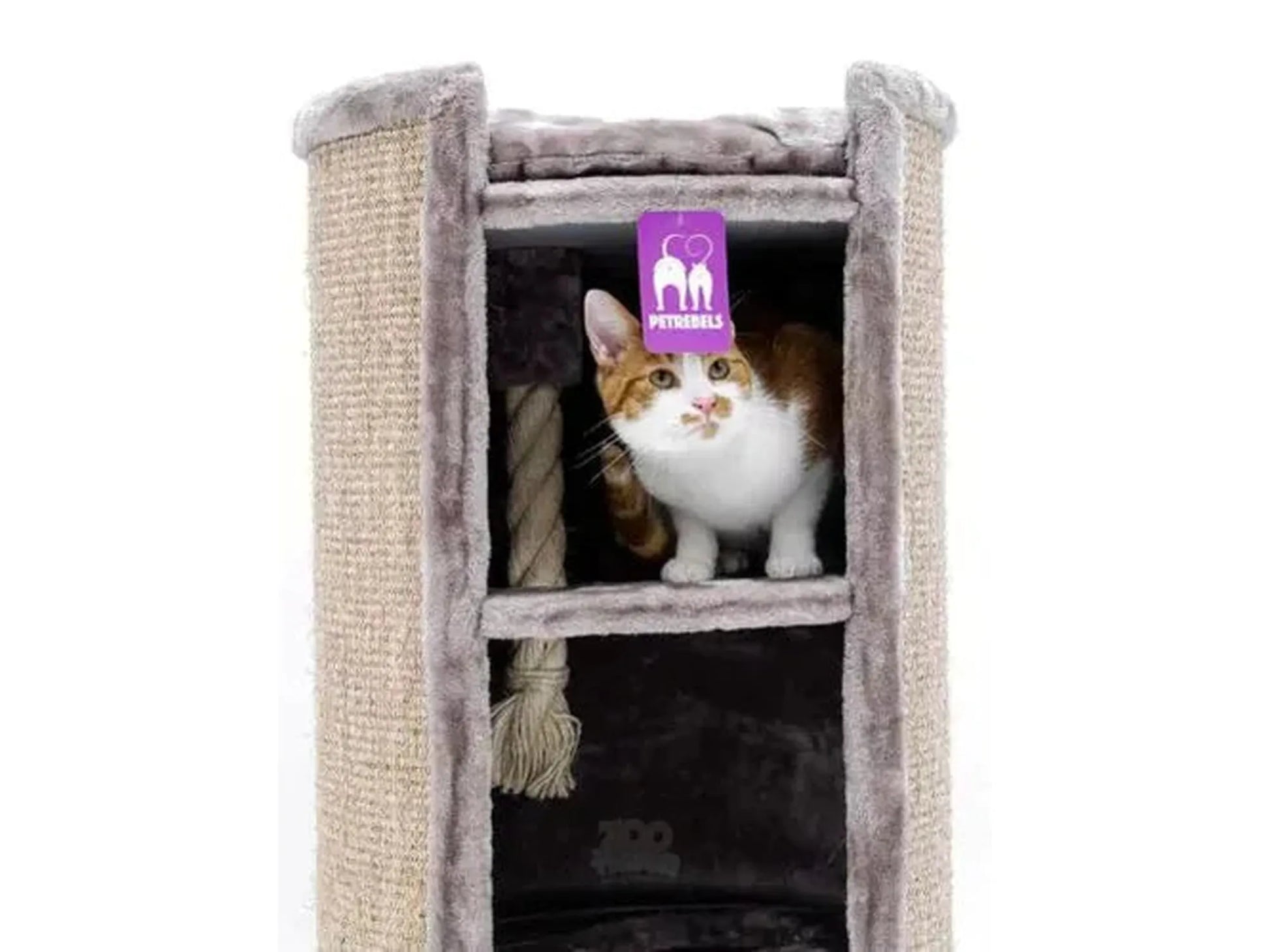 Katt i en stabil, Pepper-farget Petrebels Superdome 100 kloretønne med sisalteppe og soveplasser.