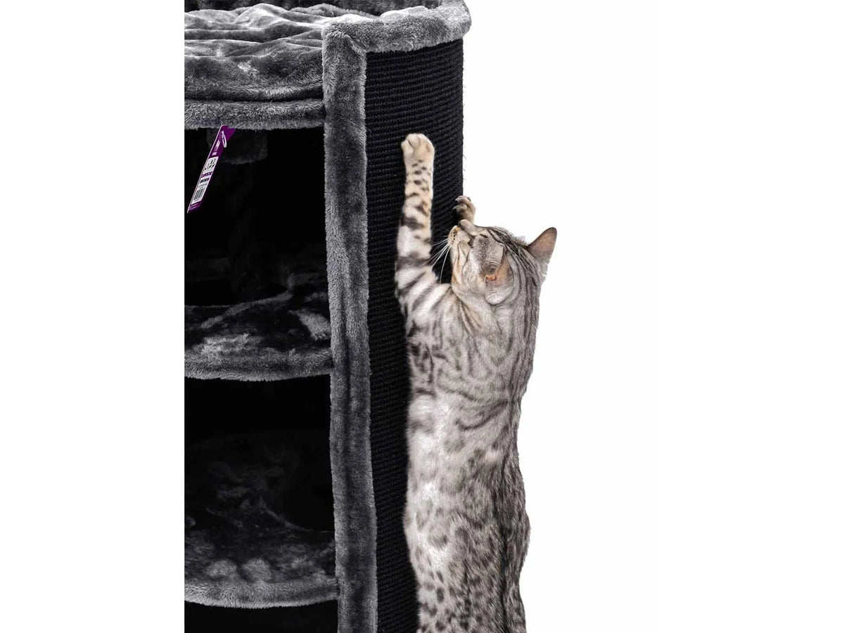 Petrebels Superdome 100 med katt