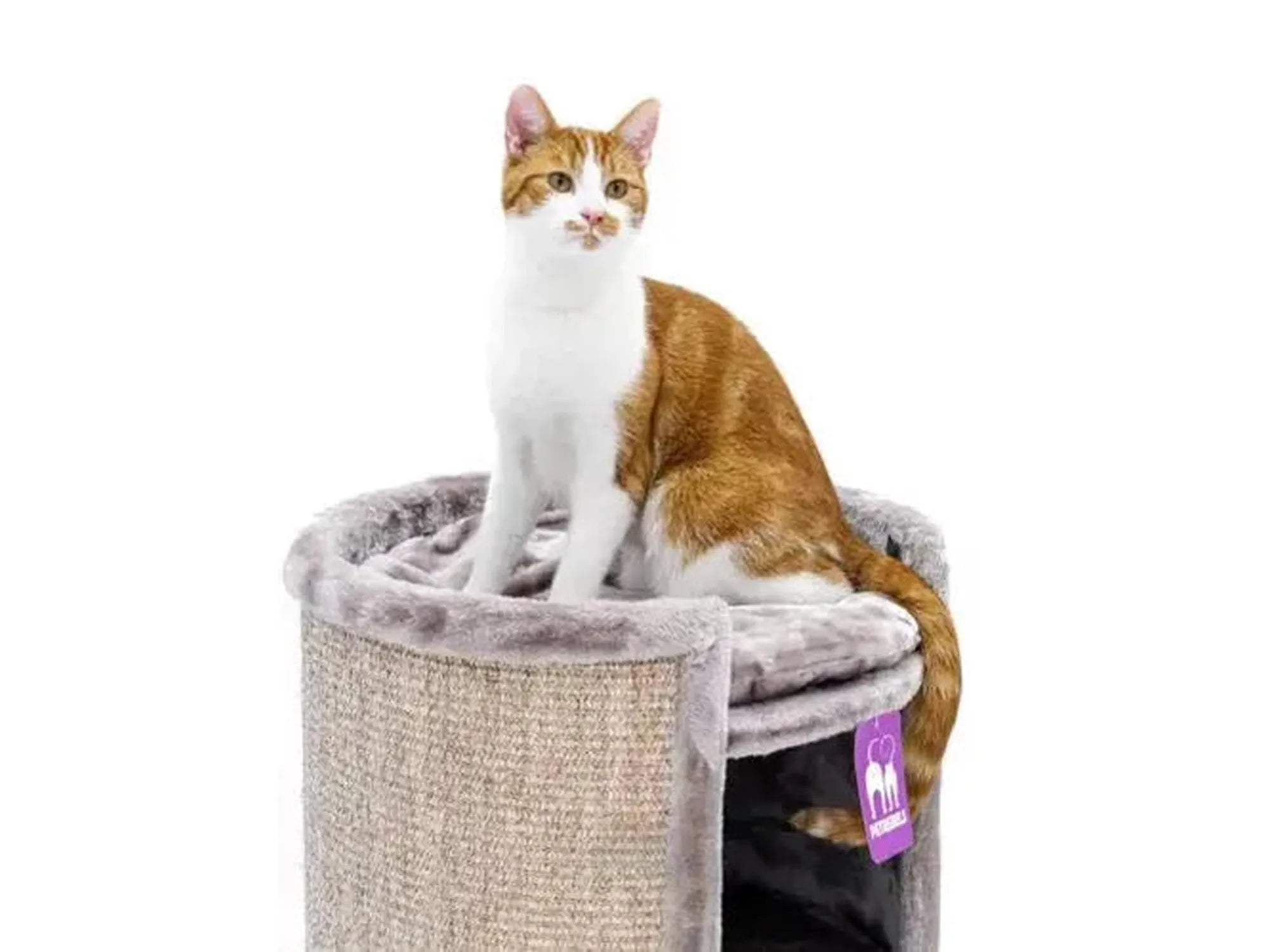 Orange-and-white cat on a gray sisal scratching barrel with plush top bed.