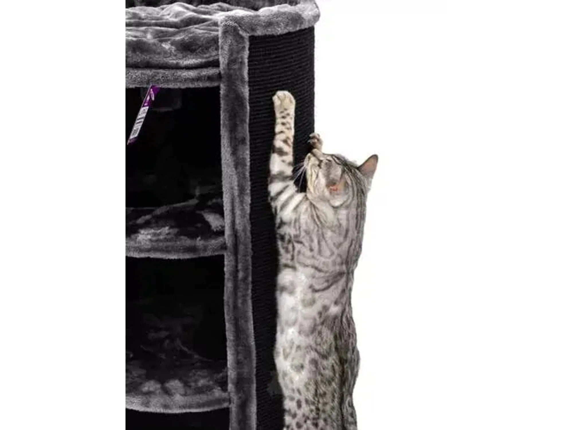 Grå Bengal-katt klorer på en svart sisal kloretønne med myke, grå soveplasser.