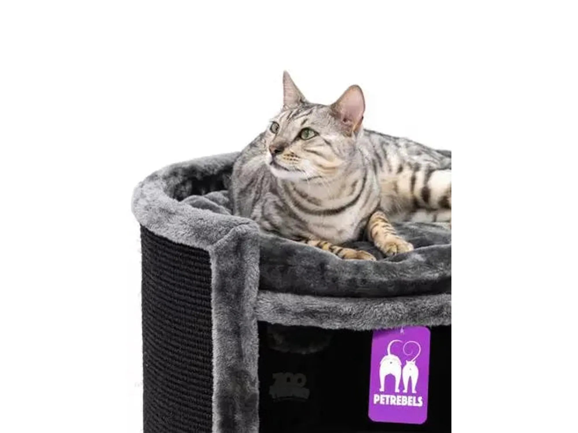 Gråstripet katt på toppen av en Champions Only Superdome 100 kloretønne i Pepper-farge.