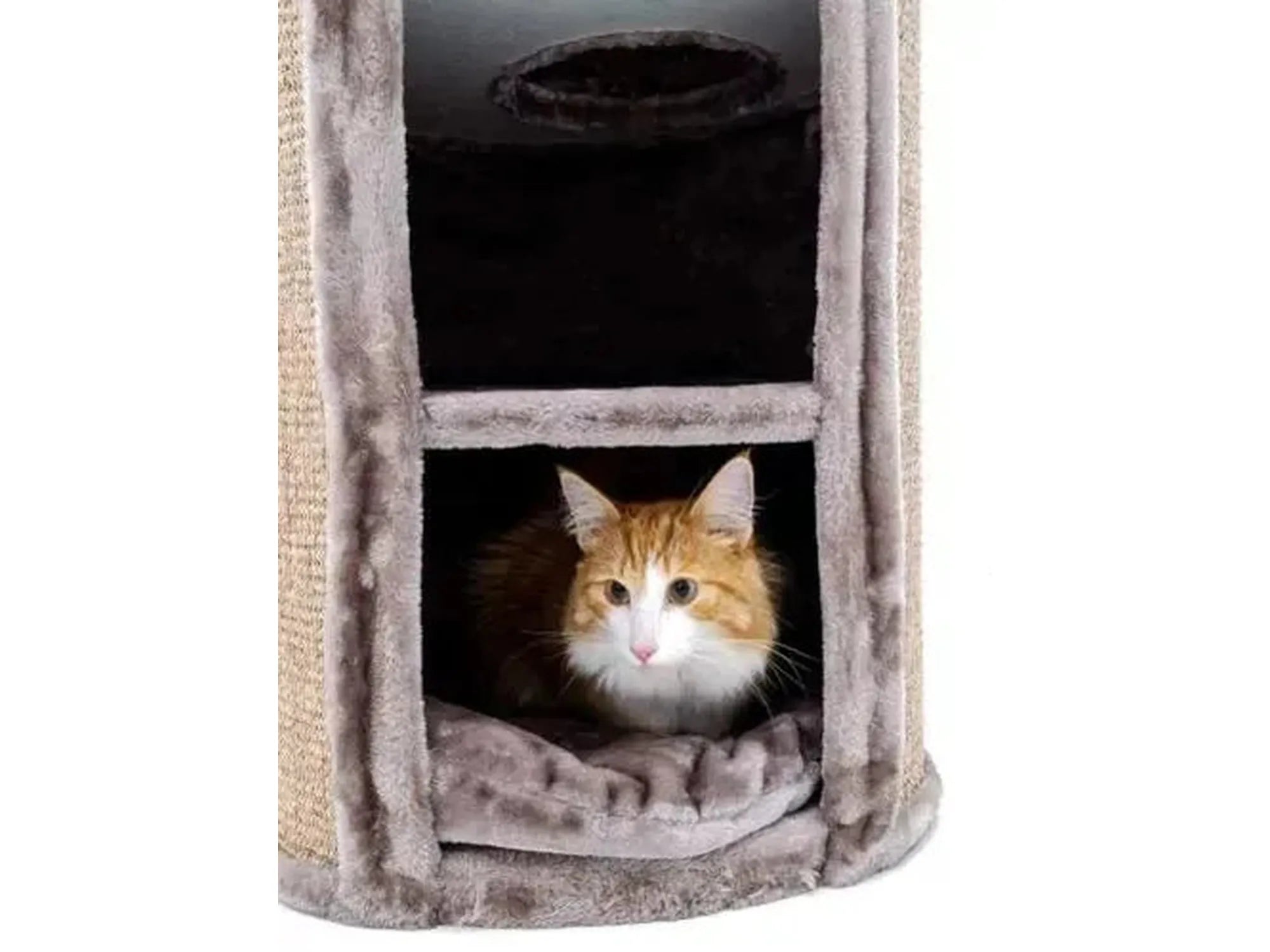 Orange-white cat resting in a beige sisal Petrebels Superdome 120 scratching barrel.