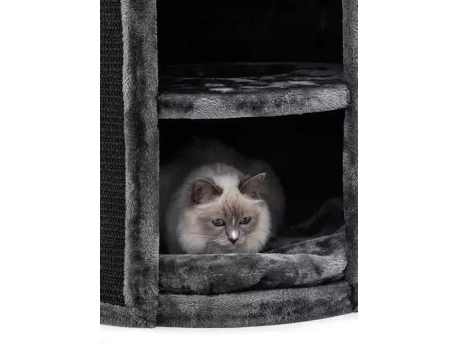 Grå Petrebels Superdome 120 kloretønne med en ragdoll-katt som hviler i et mykt, innvendig rom.