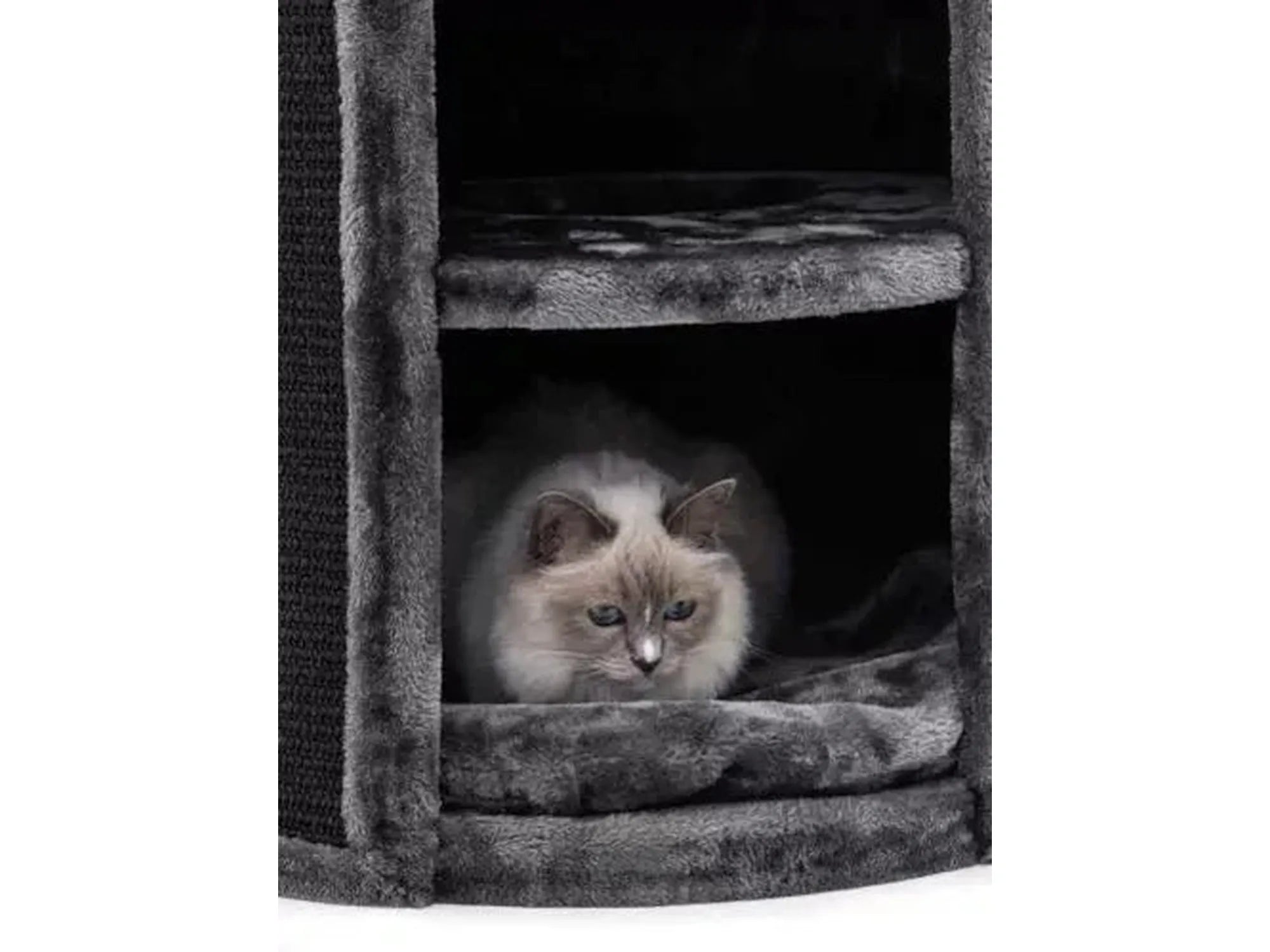 Grå Petrebels Superdome 120 kloretønne med en ragdoll-katt som hviler i et mykt, innvendig rom.