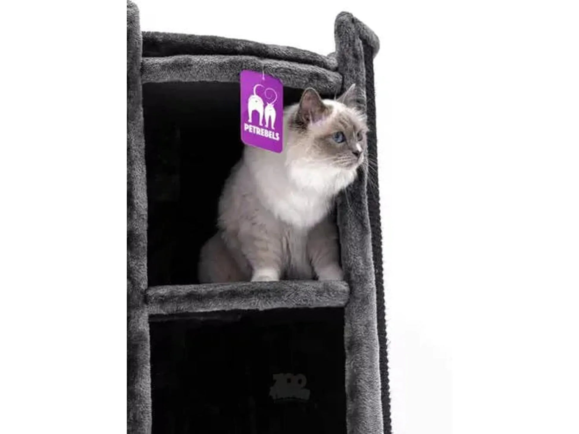 Grå Petrebels Superdome 120 kloretønne med en hvit katt som sitter i en av hyllene.